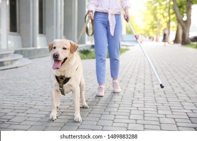 Young Blind Woman With Guide Dog Outdoors