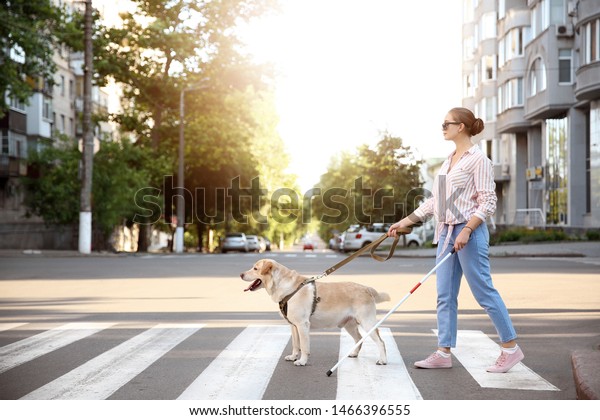 Young blind\
woman with guide dog crossing\
road