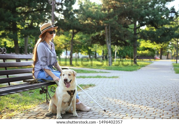 Young blind woman with\
guide dog in park