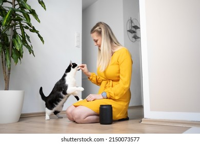 Young Blond Woman With Yellow Dress Kneeling On The Floor  Feeding Snacks To Her Cat Having The Treat Jar Standing Right Next To Her