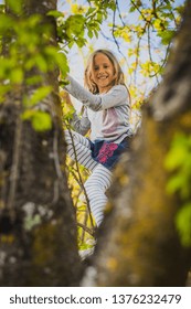 Young Blonde Caucasian Girl Climbing On A Tree In Beautiful Sunny Weather. Playful Kid Climbing To The Top Of  The Tree. Girl Hiding Between Leaves On A Tree.