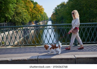 A young blonde woman in light casual clothes walks with a Cavalier King Charles Spaniel dog in the historical center of the small town of Kronstadt on a sunny fine day along the cobblestones