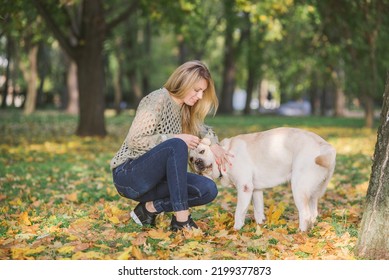 A Young Blonde Woman Is Playing In The Autumn Park With Her Labrador. Evening Walk With A Labrador. Love For Pets.