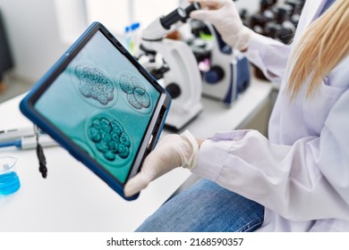 Young blonde woman wearing scientist uniform looking embryion images at laboratory