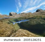 Young blue shark (Prionace glauca) near rocky sea shore, split view over and under water surface, Atlantic ocean, Spain, Galicia