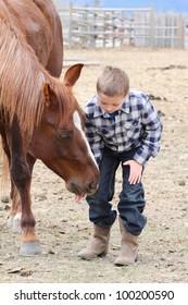 Young Boy In Blue Feeding His Horse Treats