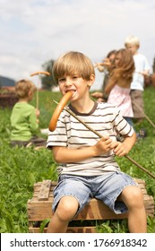 Young Boy Eating Hot Dog At Campfire