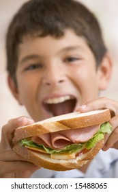 Young Boy Eating Sandwich Smiling