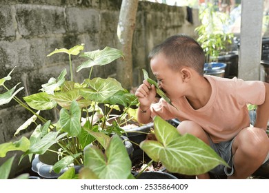 A young boy explores a garden, curiously examining green plants. His joyful expression highlights the beauty of nature and childhood discovery. - Powered by Shutterstock