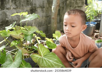 A young boy explores a patch of green plants, showcasing curiosity and connection with nature. Perfect for themes of childhood and environmental appreciation. - Powered by Shutterstock