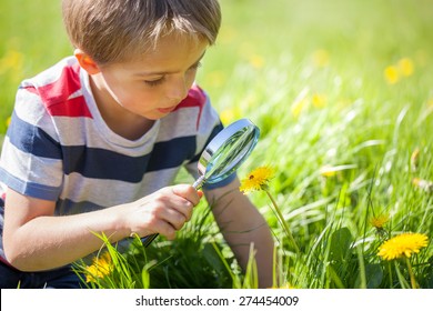 Young boy exploring nature in a meadow with a magnifying glass looking at a ladybird
