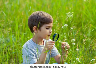 Young boy exploring nature in the meadow with a magnifying glass looking at flowers. Curious children in the woods, a future botanist.  - Powered by Shutterstock