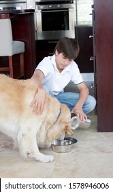 A Young Boy Feeding His Dog