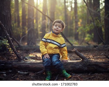 young boy at the forest 