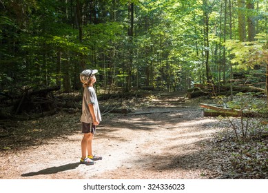 190,542 Boy Looking Up Images, Stock Photos & Vectors | Shutterstock