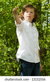 young boy gets a leaf from a tree