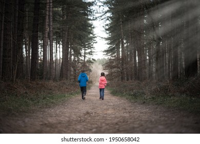 Young Boy And Girl Walking Alone Through Dark Spooky Creepy Forest Woodland On Their Own. Path Through Eerie Atmospheric Tall Trees With Light Rays Shining From Above.