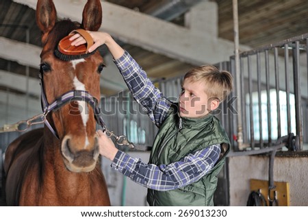 Young boy is grooming the horse