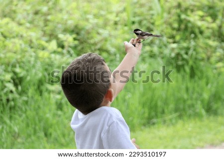 A young boy handing feeding a black capped chickadee.
