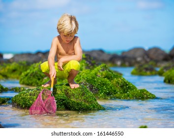 Young Boy Having Fun On Tropical Beach, Playing With Fishing Net