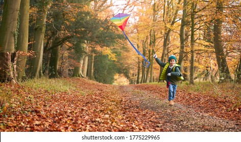 Young Boy Having Fun Running Along Path Through Autumn Woodland Flying Kite - Powered by Shutterstock