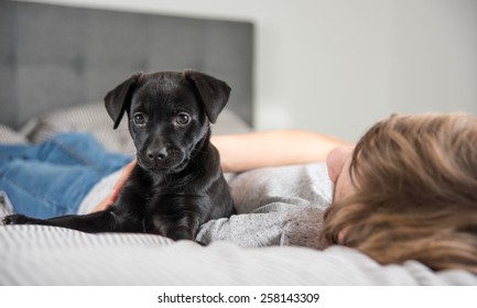 Young Boy With His New Puppy