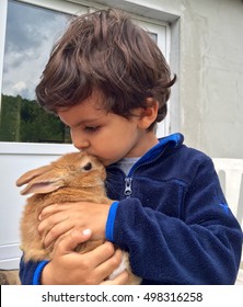 Young Boy And His Rabbit Pet