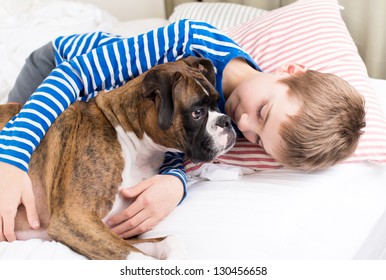 Young Boy Hugging His Boxer Dog In Bed