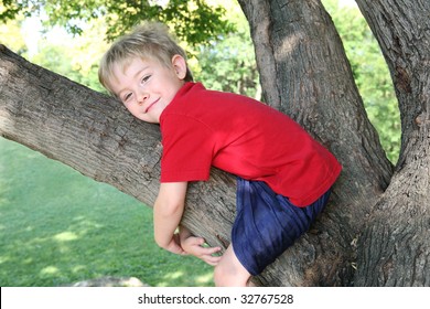 Young Boy Hugging A Tree Branch