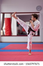 Young boy karate practitioner executing a kata