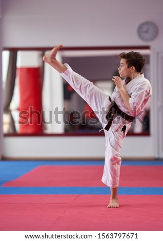 Young boy karate practitioner executing a kata