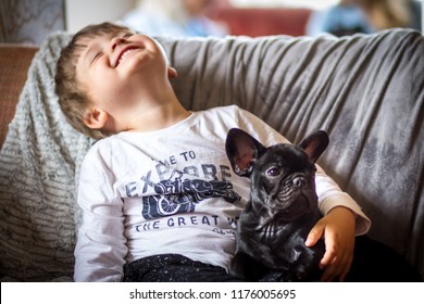 Young Boy laughing with French Bulldog Puppy on his lap - Shutterstock ID 1176005695