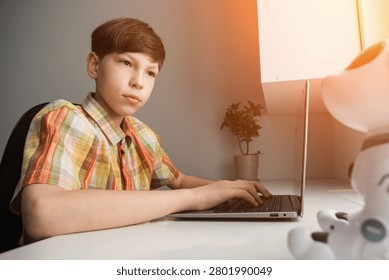 Young boy learning stem education and programming skills, typing on a laptop with a personal robot companion on the desk, focusing on the future of technology and ai
