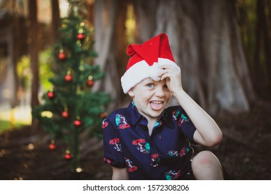 Wimmelbild weihnachten - Die qualitativsten Wimmelbild weihnachten ausführlich verglichen!