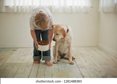 can dogs eat human food everyday