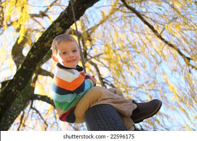 Young boy on tire swing