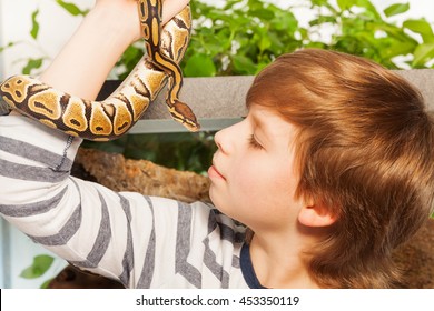 Young Boy With Pet Snake - Royal Or Ball Python