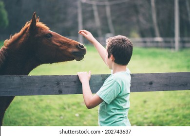 Young Boy Petting A Horse In Countryside