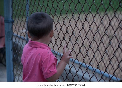 Young Boy In Pink Shirt Watching The Baseball Game. 