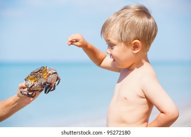 Young Boy Plaing With Crab On The Beach