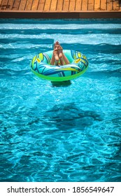 Young boy playing with a big float inside a swimming pool. Kid submerging his head and body inside the water, with his feet outside. Child having fun during sunny day in summer time. Leisure activity.