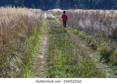 Young Boy Playing In A Field. Boy Running Across The Field With His Hands In Different Directions. Children Fun Games. Nature Leisure With Children Concept.