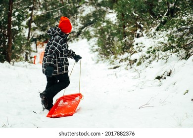 Young Boy Playing In The Snow With Bright Red Toboggan. Winter Fun At Mount Stirling, Victoria Australia