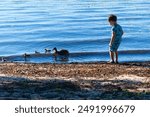 Young boy plays with ducks on shore of Lake Waccamaw