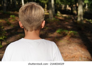 Young boy posing in a forest