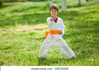 Young boy practicing martial arts outside in spring