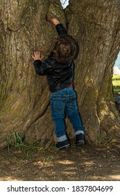 Young Boy Reaching Up A Tree