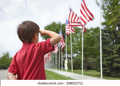 A young boy salutes the flags of a Memorial Day display along a small town street 