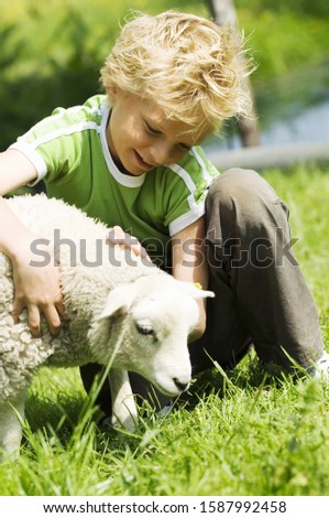 Similar – three sheep of a flock of sheep look curiously into the camera