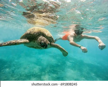 Young Boy Snorkel Synchronous Swim With Big Adult Green Sea Turtle (chelonia Mydas) In Exotic Tropics Paradise. Marsa Alam, Egypt. Summer Holiday Vacation Concept